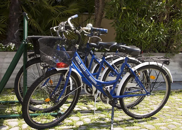 Berta Desenzano del Garda